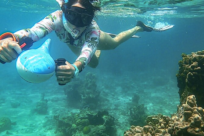 Sea Scooter Snorkel Tour - Guided Ocean Safari Reef and Lagoon Adventure - Abundance of Marine Life