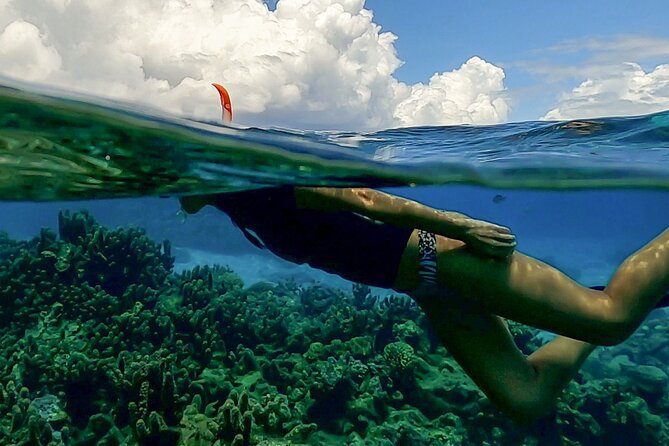 Sea Scooter Snorkel Tour - Lagoon Discovery : Wrecks, Coral Gardens and Tropical Fishies - Spotting Tropical Fishies