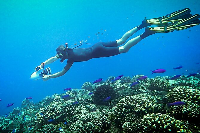 Sea Scooter Snorkel Tour - Lagoon Discovery : Wrecks, Coral Gardens and Tropical Fishies - Traveler Photos and Reviews