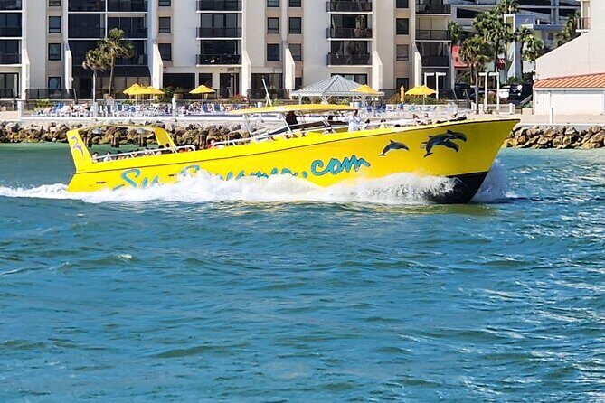 Sea Screamer Clearwater's Only Speed Boat Dolphin Watching - Good To Know