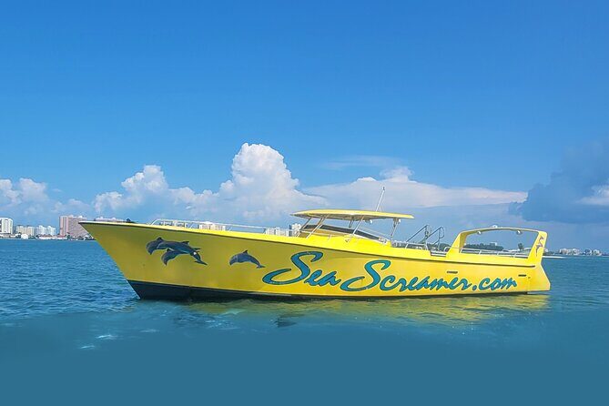 Sea Screamer Clearwater's Only Speed Boat Dolphin Watching - The Itinerary: What’s Included