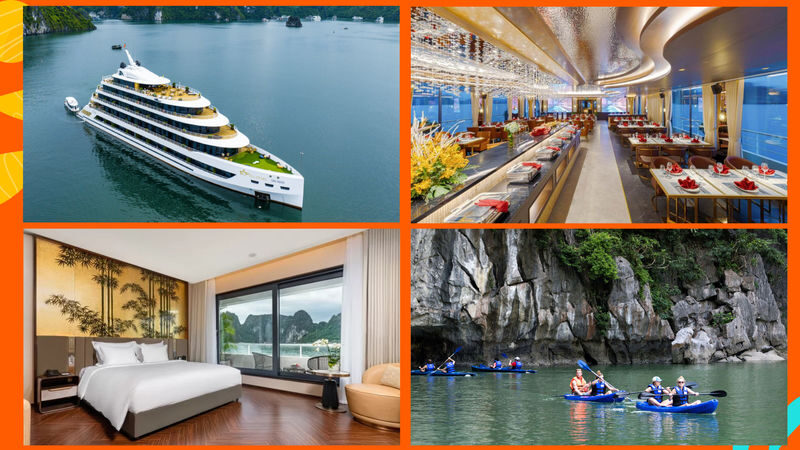 Sea Stars 2D1N Cruise: Ha Long Bay, Sung Sot, Ti Top - At a glance: what matters most