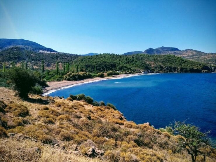 Sea, Sun and Swimming Cruise From Mytilene - Good To Know