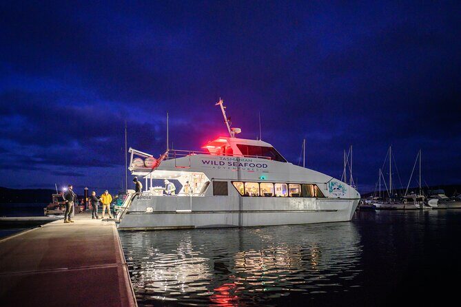 Sea to Sky Dark Sky Cruise Experience in Tasmania - Introduction