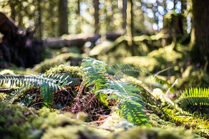 Sea to Sky Discovery Tour - Good To Know