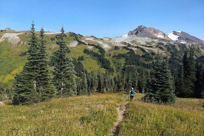 Sea to Sky Hiking Adventure - Why This Tour Offers Great Value