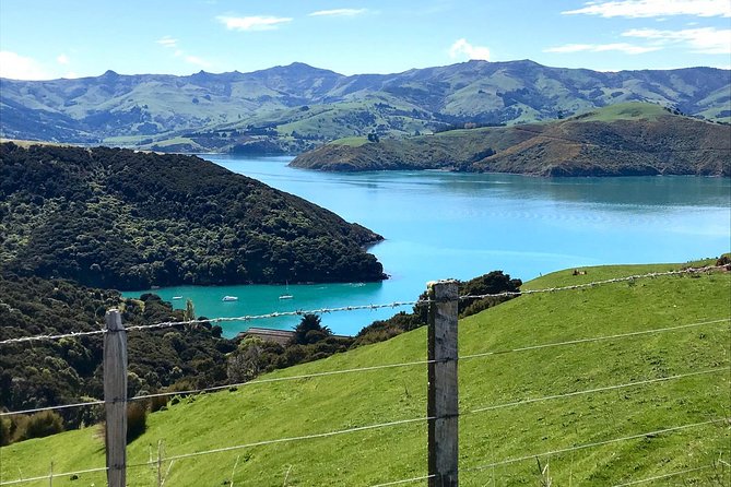 Sea to Summit- Electric Mountain Biking Tour in Akaroa - Meeting and Pickup