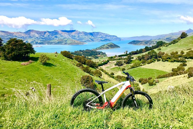 Sea to Summit- Electric Mountain Biking Tour in Akaroa - Reviews