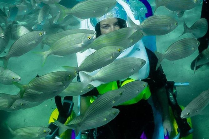 Sea Trek and Diving for Handicaped People - Sea Trek and Diving Equipment
