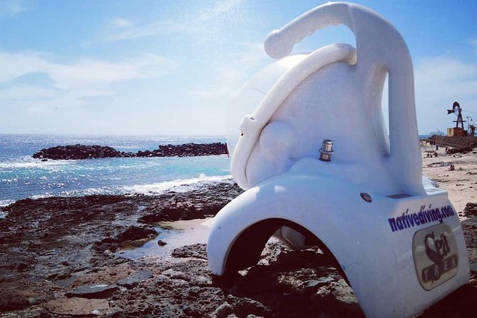 Sea Trek Diving Experience in Costa Teguise - Dive Sites in Costa Teguise and Puerto Del Carmen