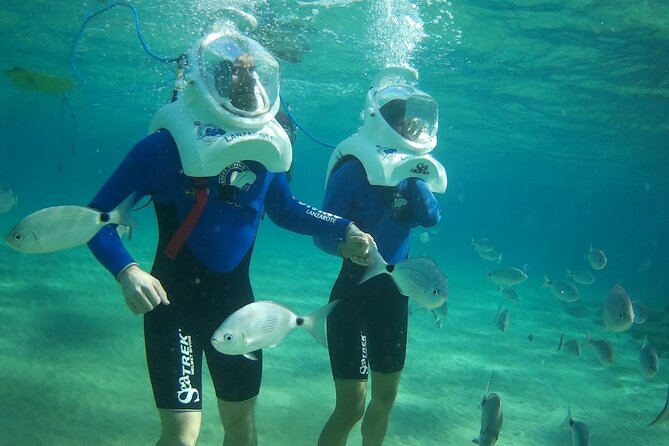 Sea Trek Diving Experience in Costa Teguise - The Sum Up