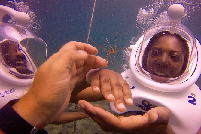 Sea Trek Helmet Dive at Coral World Ocean Park - Overview and What To Expect