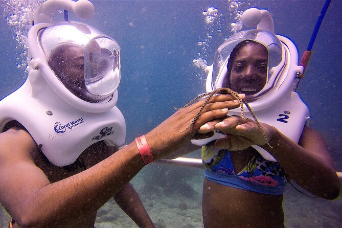 Sea Trek Helmet Dive at Coral World Ocean Park - Accessibility and Safety Information