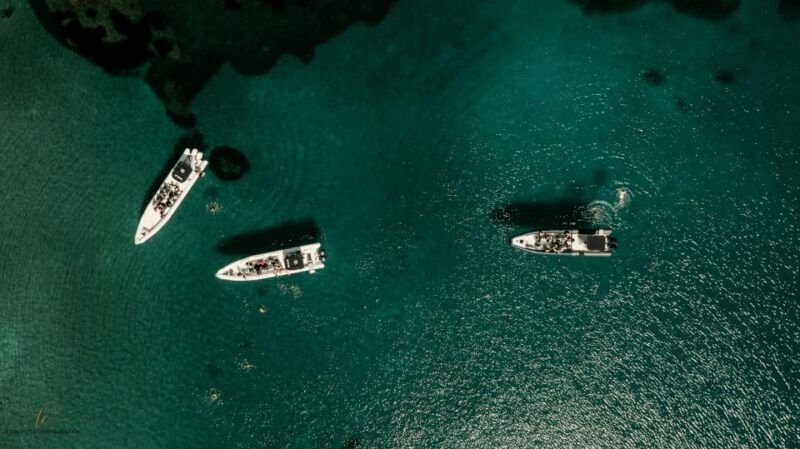 Sea Trip: Ajaccio - Scandola Reserve - Highlights of the Scandola Reserve