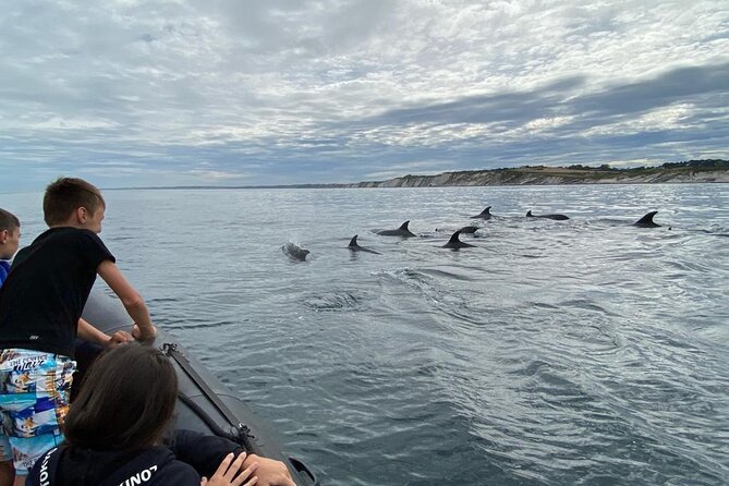 Sea Trip Along the Basque Coast Departure From Saint-Jean-De-Luz - Traveler Photos: Real Experiences and Ratings