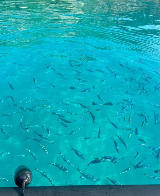 Sea Trip From Villefranche Sur Mer & Swimming Stop - Planning Your Sea Adventure