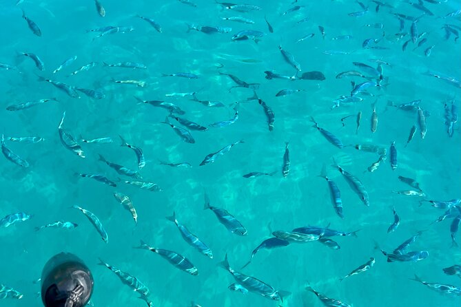Sea Trip From Villefranche Sur Mer to Monaco and Nice - Common Questions