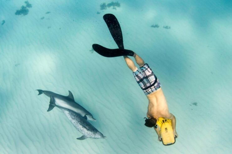 Sea Turtle Jet Snorkeling With Videos - Tour Details