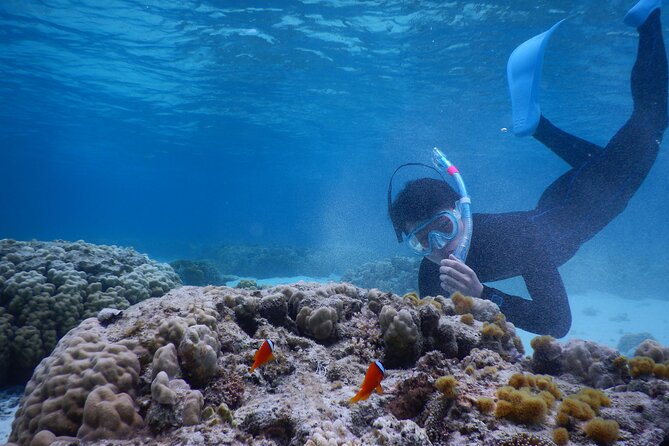 Sea Turtle Snorkel at Kerama Islands and Zamami Island - Common Questions