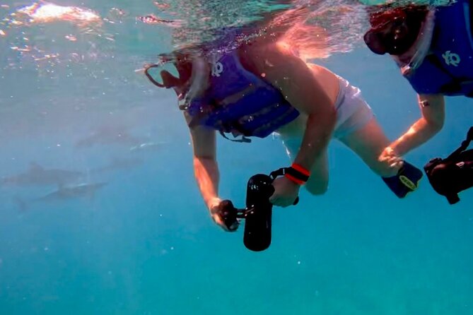 Sea Turtle Snorkeling Tour With Jet Scooters - Common Questions