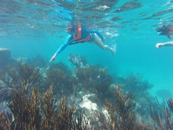Sea Turtle Tour - Frequently Asked Questions