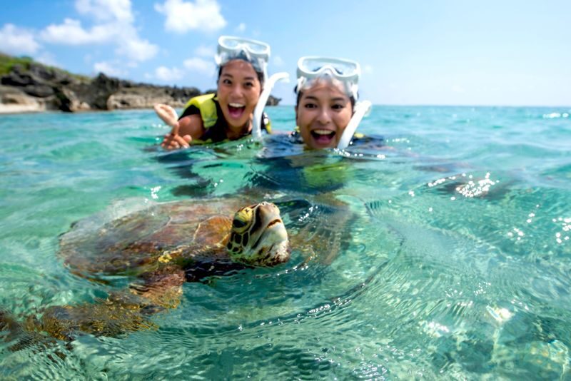 Sea Turtles & Clownfish Snorkeling Experience in Miyako Island - The details that matter before you book