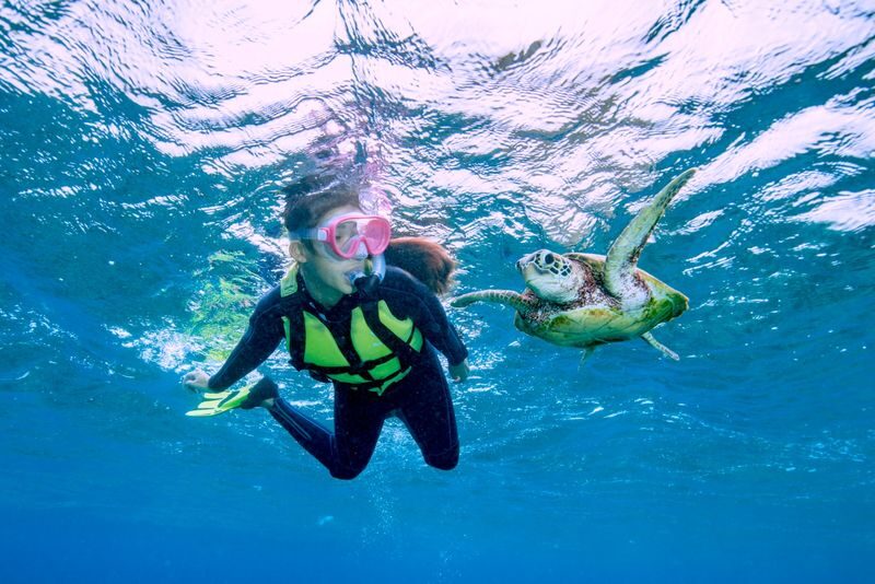 Sea Turtles & Clownfish Snorkeling Experience in Miyako Island - A close look at Miyakojima’s sea life