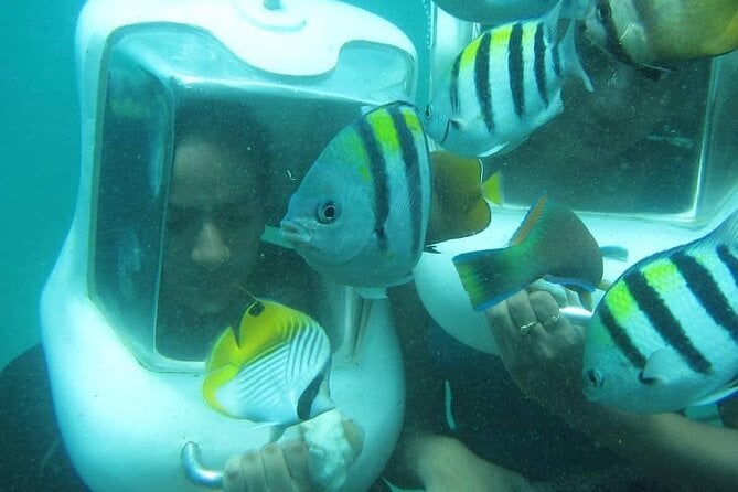 Sea Walker Bali Experience - Pricing and Booking Process