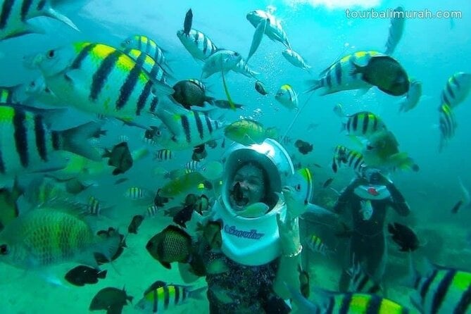 Sea Walker Bali Experience - Logistics Details