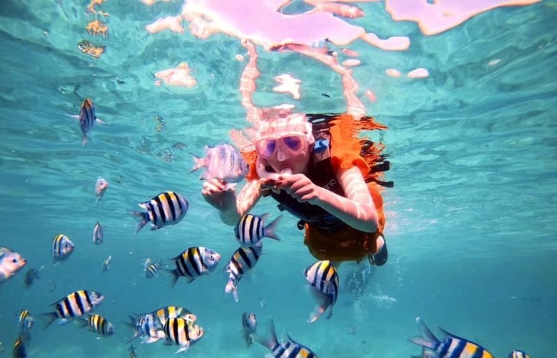 Sea Walking Experience in Semporna - Marine life, clear water and responsible behavior