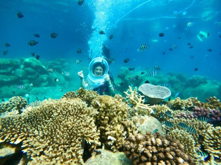 Sea-Walking Nha Trang Tour - Experience Highlights