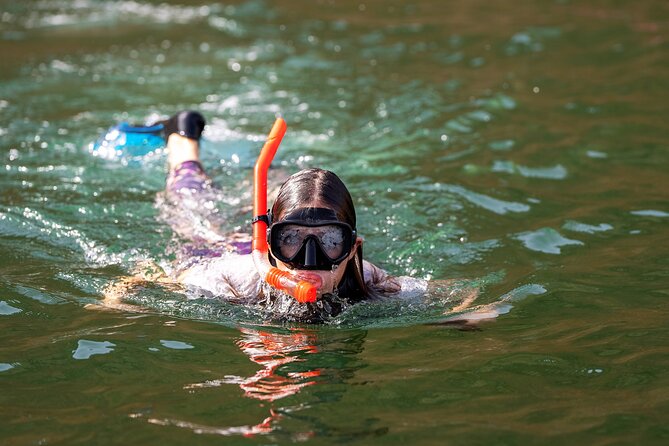 Sea Wonders Dolphin Watching and Snorkeling in Muscat - Good To Know