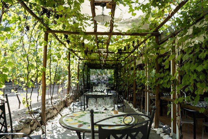 Seafood Lunch With Wine Tasting & Tour on a Golf Cart - Common Questions