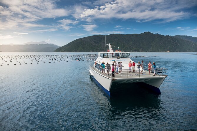 Seafood Odyssea Marlborough Sounds Cruise From Picton - Overview and What To Expect