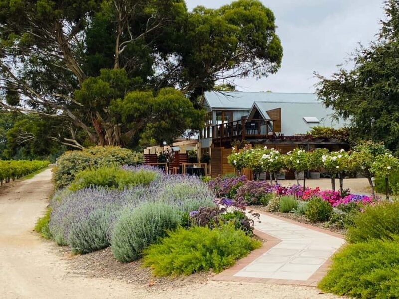 Seaford Rise: Langhorne Creek Crossing - Introduction to the Langhorne Creek Wine Tour
