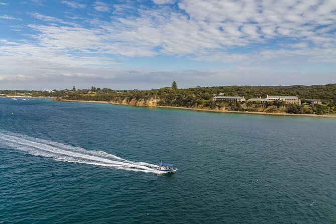 Seal and Dolphin Watching Eco Boat Cruise Mornington Peninsula - Cancellation Policy