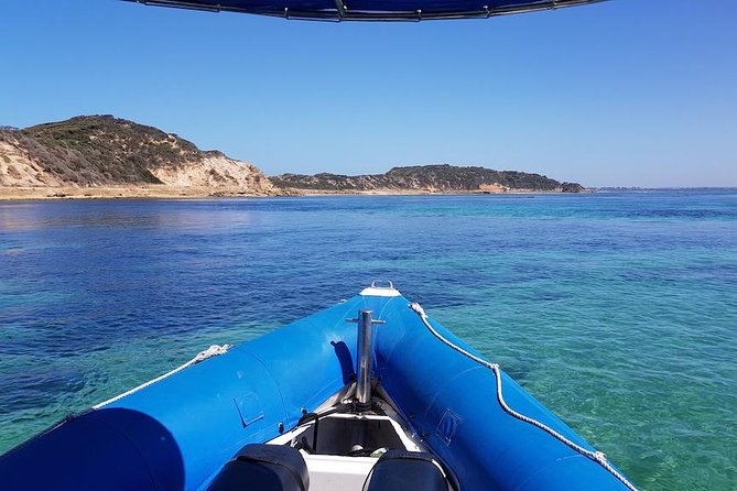 Seal and Dolphin Watching Eco Boat Cruise Mornington Peninsula - Reviews