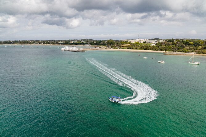 Seal and Dolphin Watching Eco Boat Cruise Mornington Peninsula - Questions and Additional Information