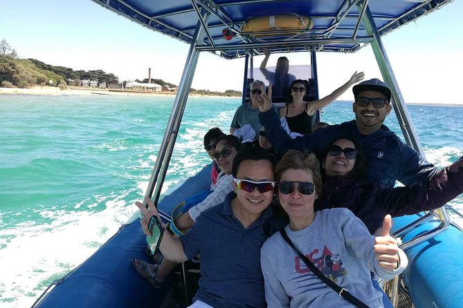 Seal and Dolphin Watching Eco Boat Cruise Mornington Peninsula - The Sum Up