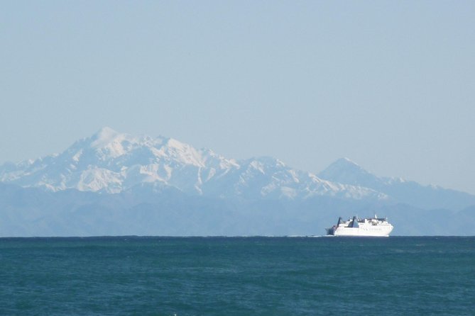 Seal Coast Safari Tour by 4WD - Traveler Experience
