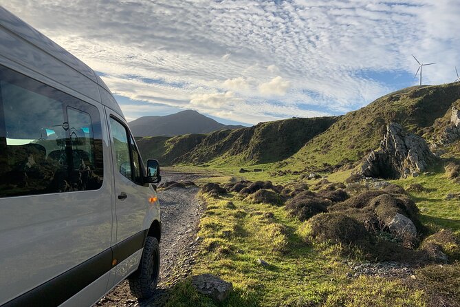 Seal Coast Safari Tour by 4WD - Reviews and Reputation