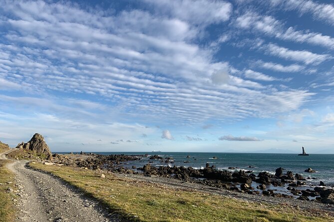 Seal Coast Safari Tour by 4WD - Lowest Price Guarantee