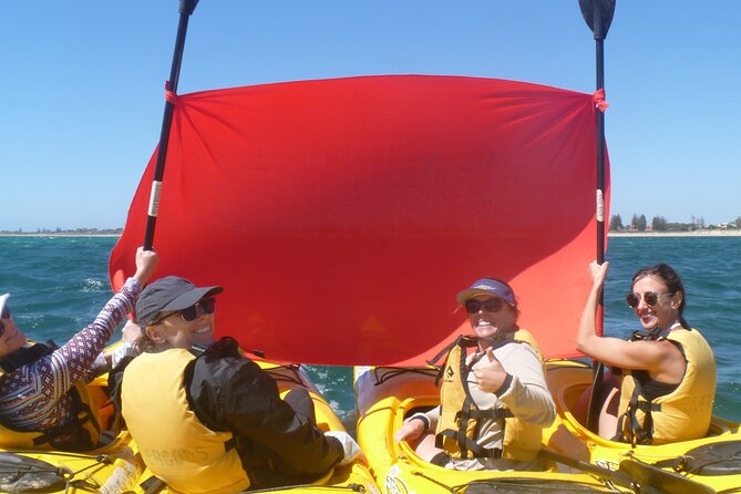 Seal Island and Penguin Island or Point Peron Sea Kayak Tour - Tour Overview