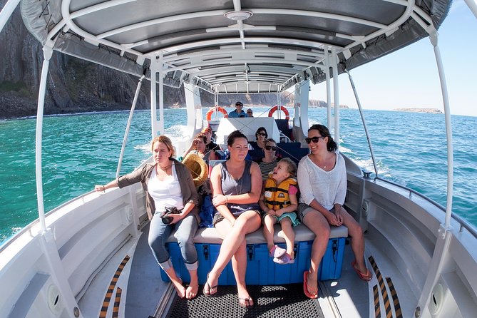 Seal Island Boat Tour From Victor Harbor - Reviews and Testimonials
