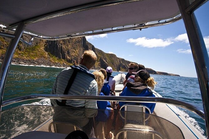 Seal Island Boat Tour From Victor Harbor - The Sum Up