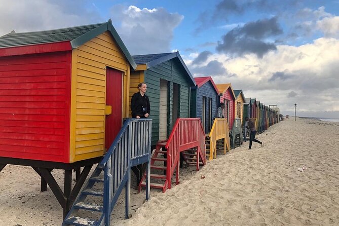 Seal Island,Cape of Good Hope&Penguins Shared Tour,From Cape Town - Traveler Photos