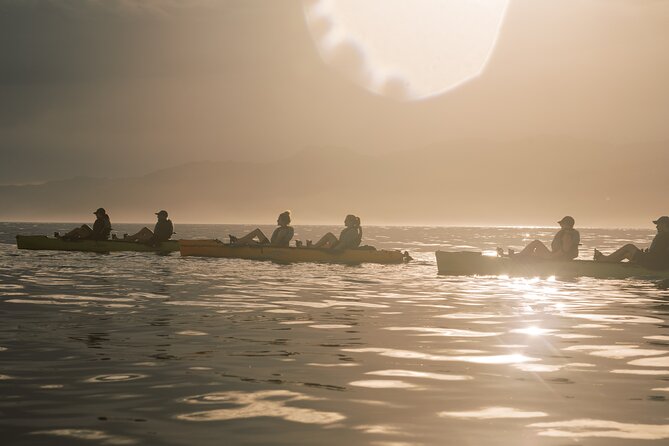 Seal Kayaking Adventure in Kaikoura - Tour Overview