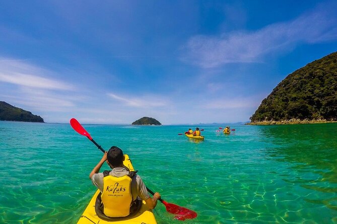 Seal Sanctuary Tour - Guided Kayaking - New Zealand - Tour Details