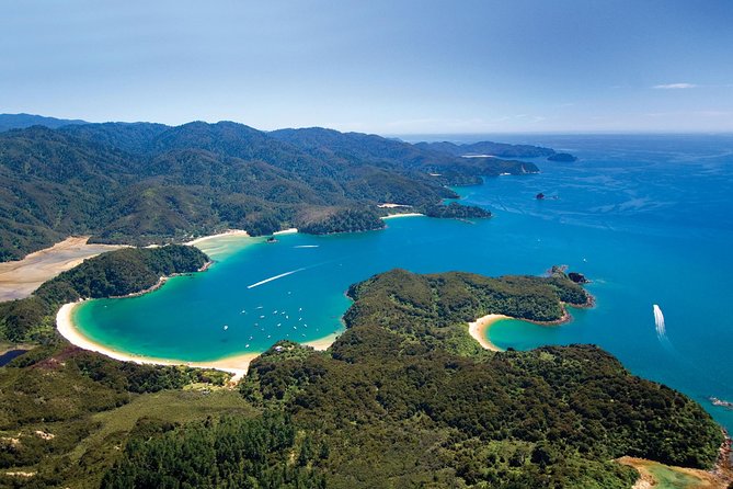 Seal Sanctuary Tour - Guided Kayaking - New Zealand - Meeting and Pickup