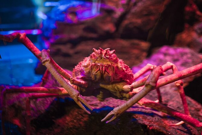 Sealife Bangkok Madame Tussauds Bangkok - Meeting and Pickup Information